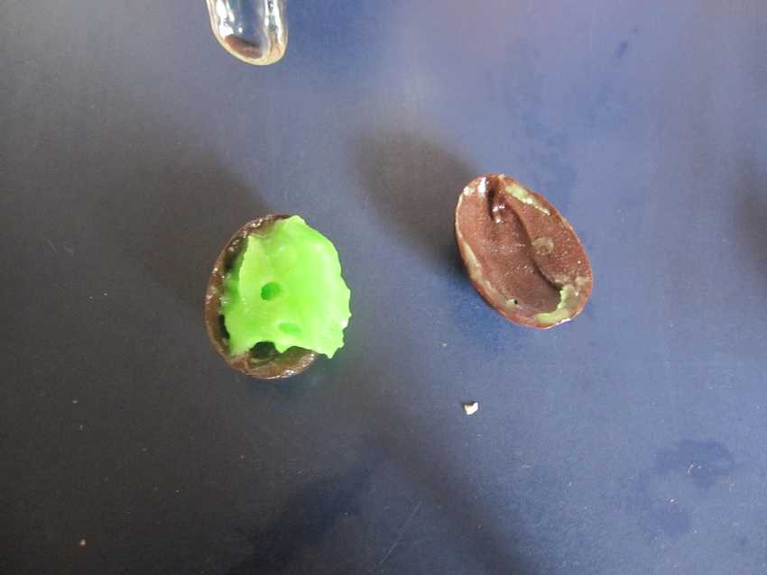 two half chocolate egg shells with green ball in one of them
